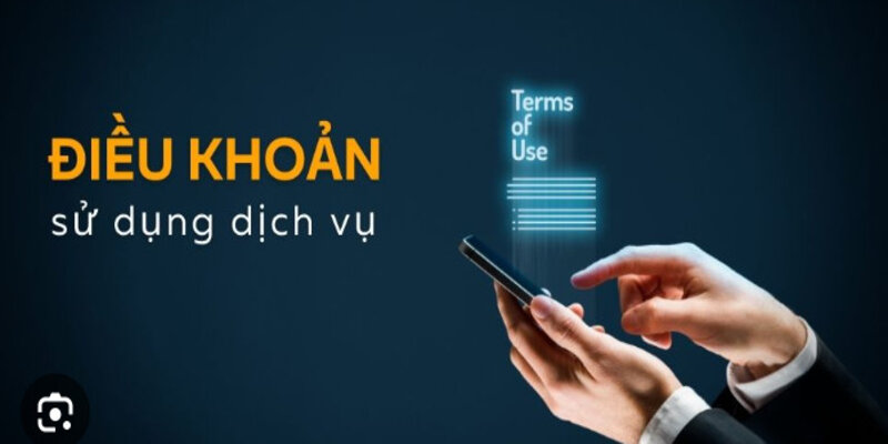 Những Thẩm Quyền Và Luật Được Sử Dụng